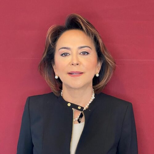 Emine Sabancı Kamışlı